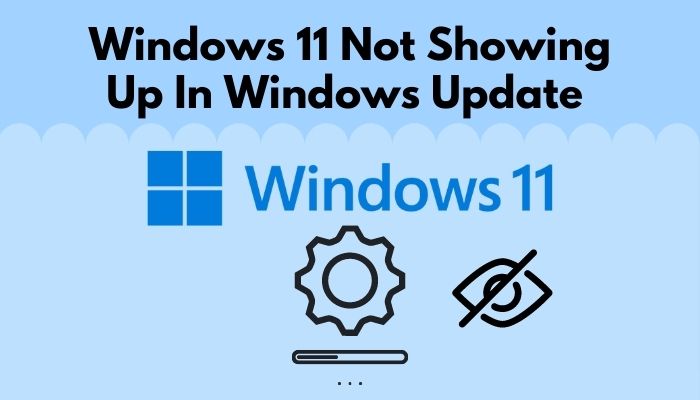 Windows 11 Not Showing Up In Windows Update [2024]