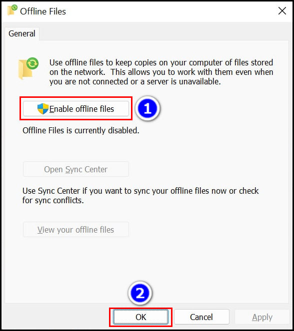 enable-offline-files-option