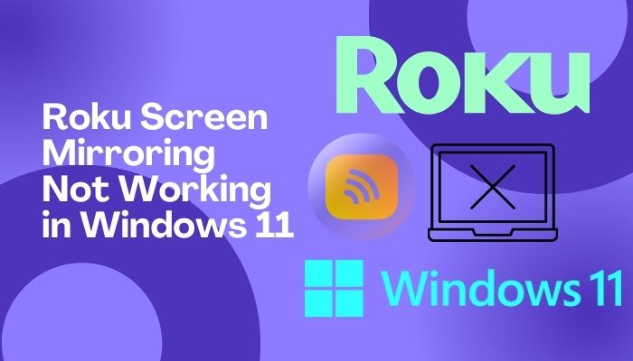 Roku Screen Mirroring Not Working in Windows 11 [Quick Fix]