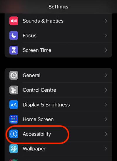 settings-accessibility