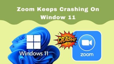zoom-keeps-crashing-on-window 11