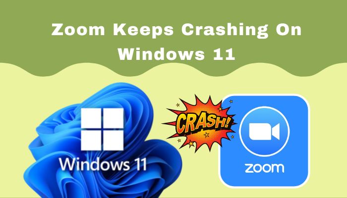 zoom-keeps-crashing-on-windows- 11-ss