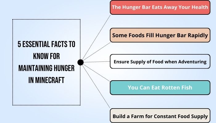 5-essential-facts-to-know-for-maintaining-hunger-in-minecraft