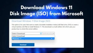 download windows 11 disc imnage