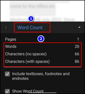 How to Check Word & Character Count in Microsoft Word [2024]
