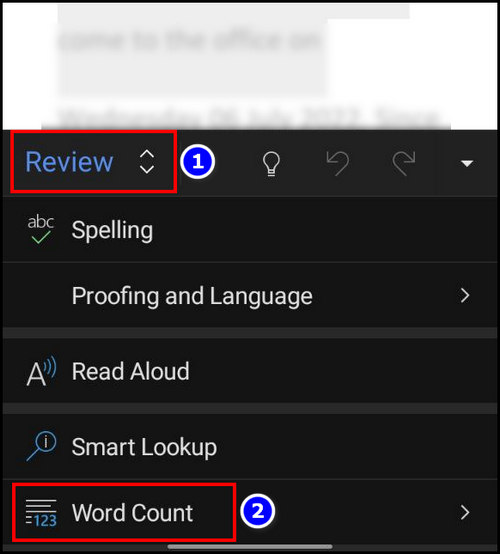 Review Word Count Option 