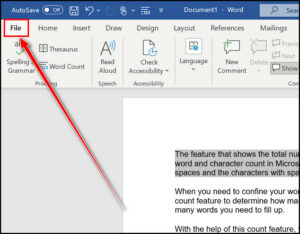 How to Check Word & Character Count in Microsoft Word [2024]
