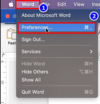 word-preferences-from-mac-word