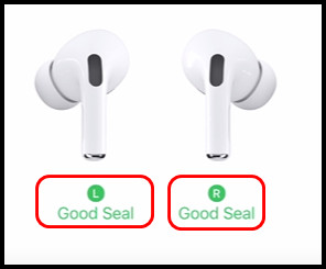 good-seal-both-ear