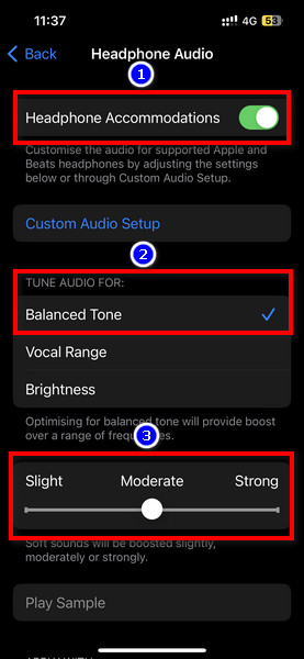 iphone-tune-audio-options