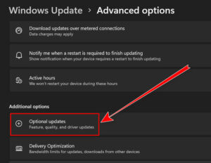 Fix Nvidia Graphics Card Not Detected in Windows 11 [Tested]