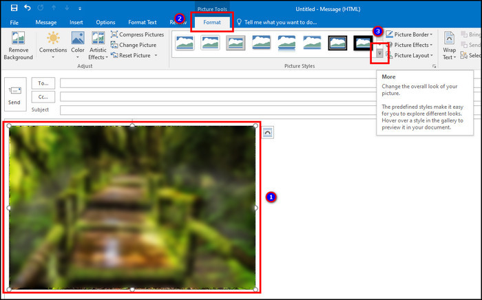 outlook-pc-picture-style-more-b