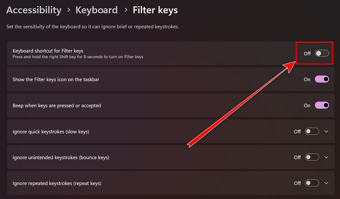 turn-off-keyboard-shortcuts-for-filter-keys