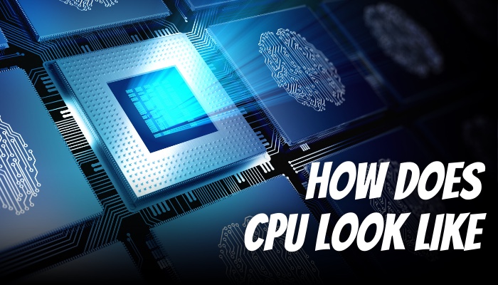 how-does-cpu-look-like