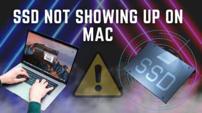 ssd-not-showing-up-on-mac