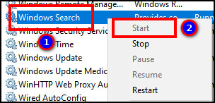 start-windows-search-services