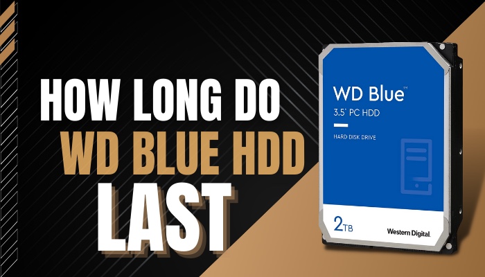 how-long-do-wd-blue-hdd-last
