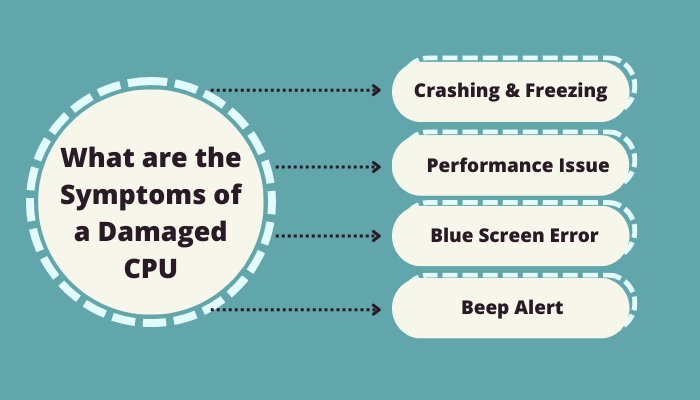 what-are-the-symptoms-of-a-damaged-cpu