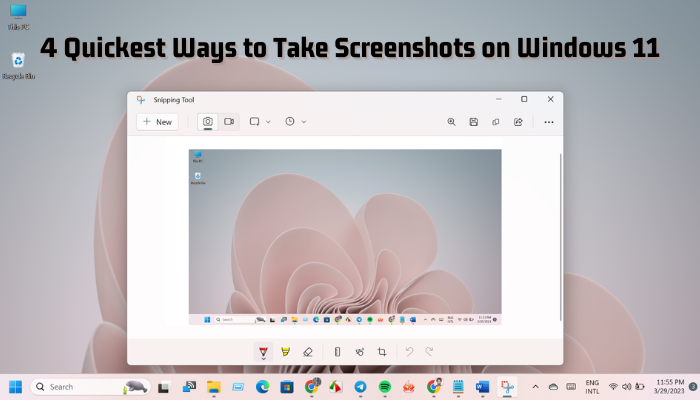 4-quickest-ways-to-take-screenshots-on-windows-11