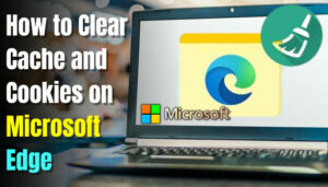 How to Clear Cache and Cookies on Microsoft Edge? [2024]