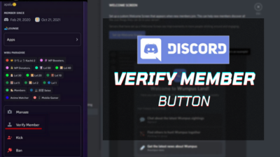 discord-verify-member-button