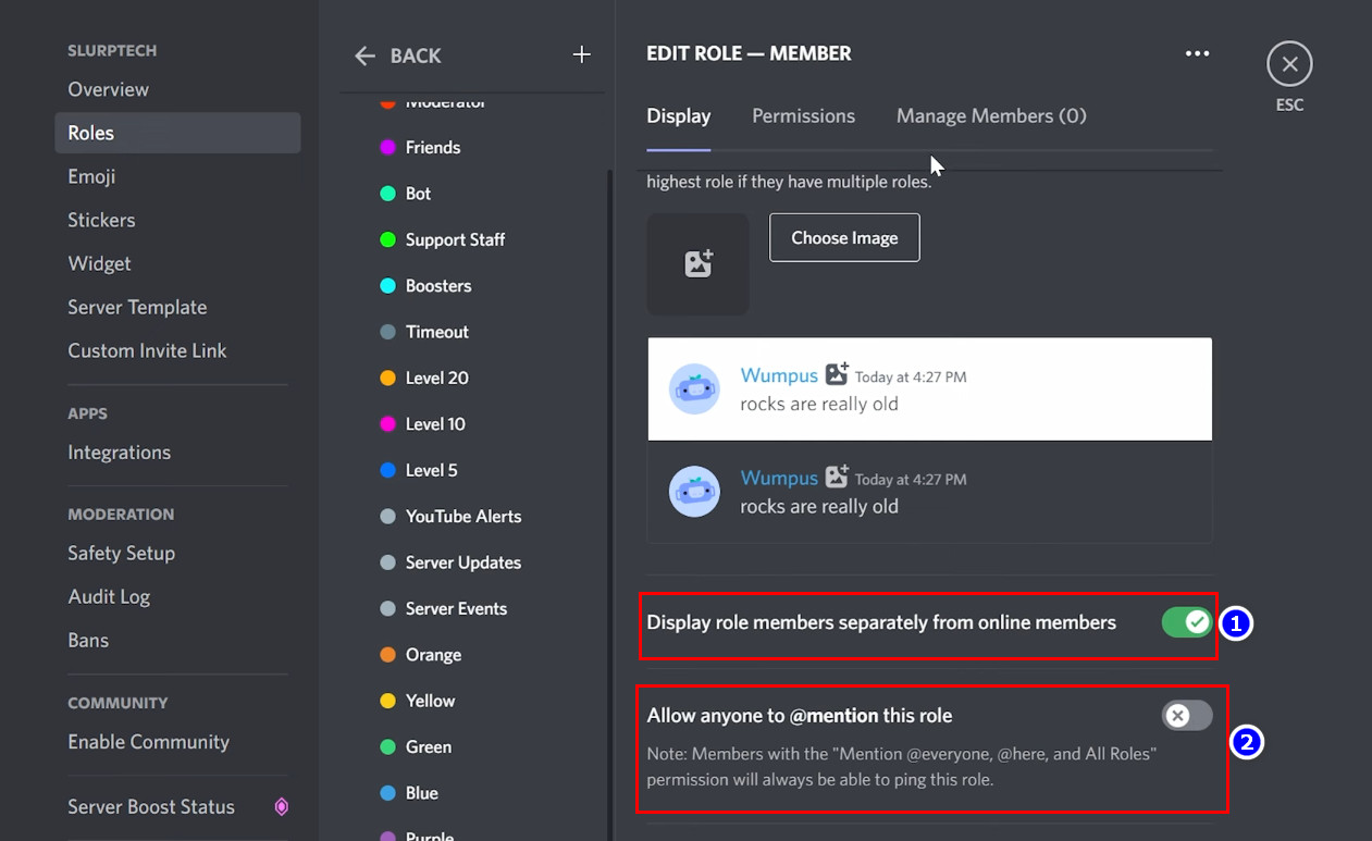 enable-display-role-members-separately-discord