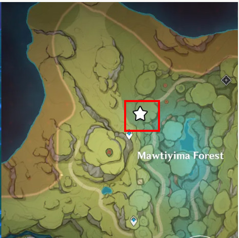 Mawtiyima-forest-fishing-spot