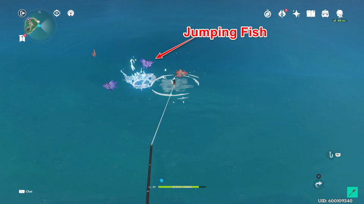 Ornamental-fish-jumping